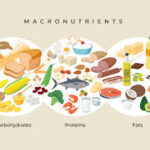 Macronutrients