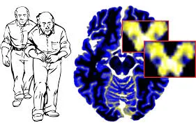 pathology