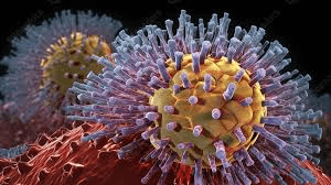 influenza virus